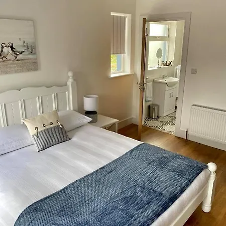 No. 20 An Toilean * Knights Town